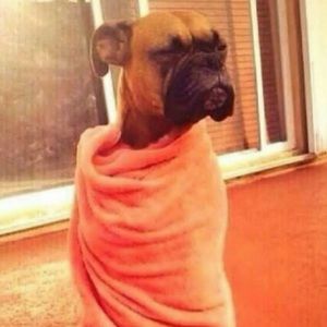 Meet your Posher, Ami